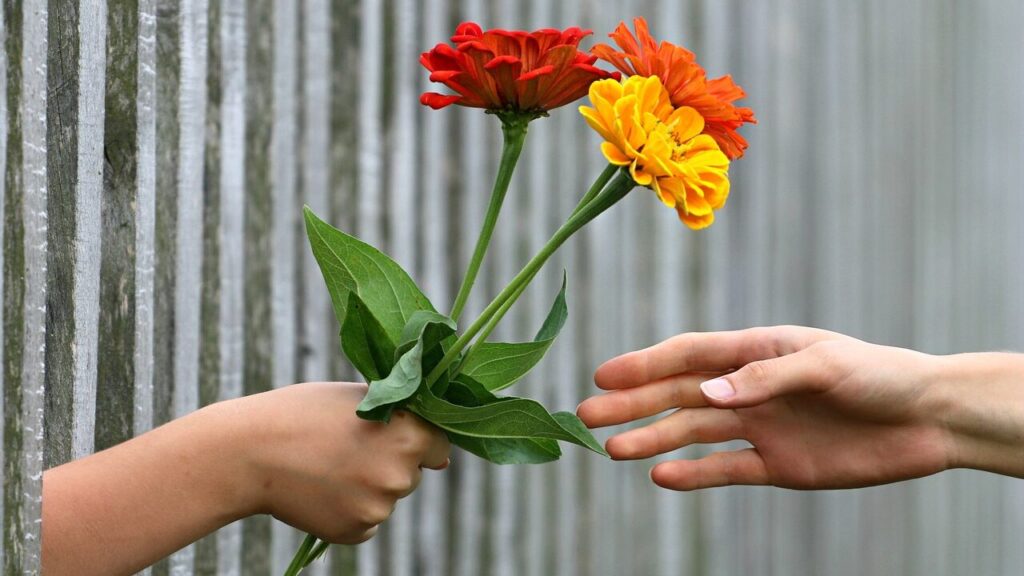 hand, bouquet, fence-1549224.jpg